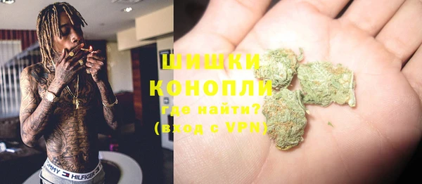 сатива Снежинск