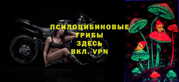 ГАЛЛЮЦИНОГЕННЫЕ ГРИБЫ Алексеевка