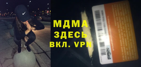 стаф Алзамай