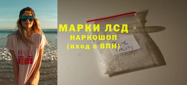 стаф Алзамай