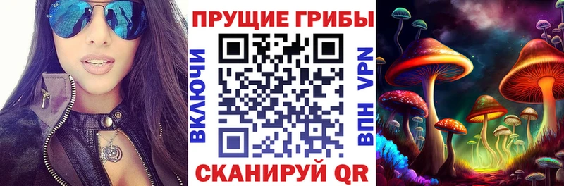 продажа наркотиков  Болотное  OMG ONION  Галлюциногенные грибы GOLDEN TEACHER 